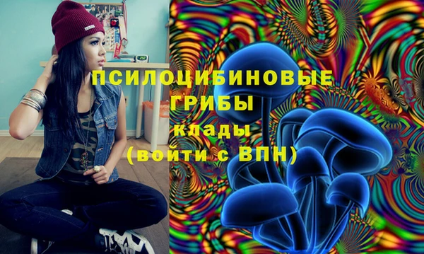 мет Балахна